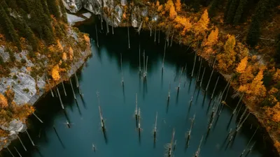 Каинды, озеро Каинды, туризм в Казахстане, туристы, туристические места в Казахстане, природа Казахстана, развитие туризма в Казахстане, фото - Новости Zakon.kz от 21.10.2025 07:27