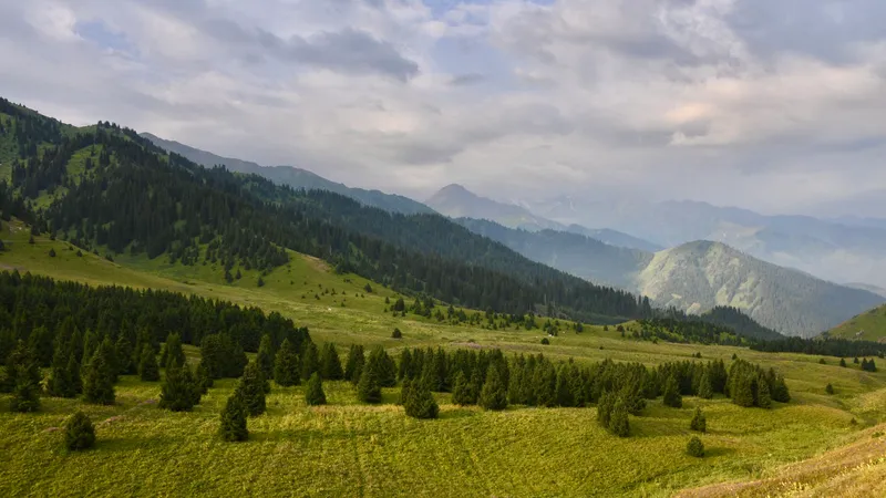 Более 2 тысяч гектаров земли планируют изъять в Алатау для госнужд