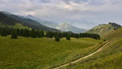 Горы, гора, горная местность, Кок-Жайляу, Иле-Алатауский государственный национальный природный парк, урочище Кок-Жайлау, тучи, тучность, облачность, пасмурная погода, пасмурность, дождливая погода, туризм, фото - Новости Zakon.kz от 29.07.2025 16:32