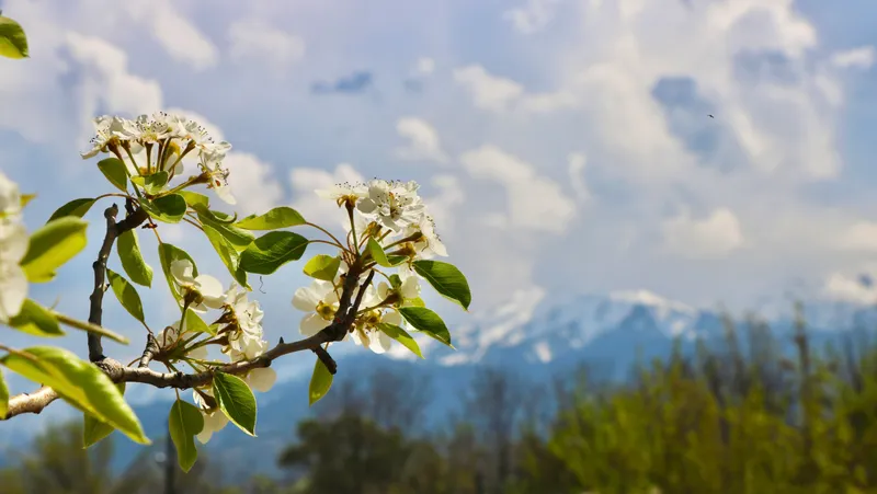 День Земли, равноденствия и День счастья: что объединяет праздники 20 марта