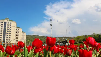 SuperStar KZ, фото - Новости Zakon.kz от 26.04.2026 07:25