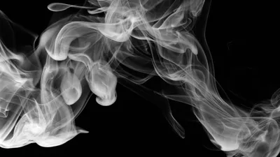 Табак, табачная продукция, сигареты, никотин, табак, дым, курение сигарет, сигарета, курильщик, курильщики, электронные сигареты, электронная сигарета, вейп, вейпы, сурет - Zakon.kz жаңалық 09.07.2025 10:14