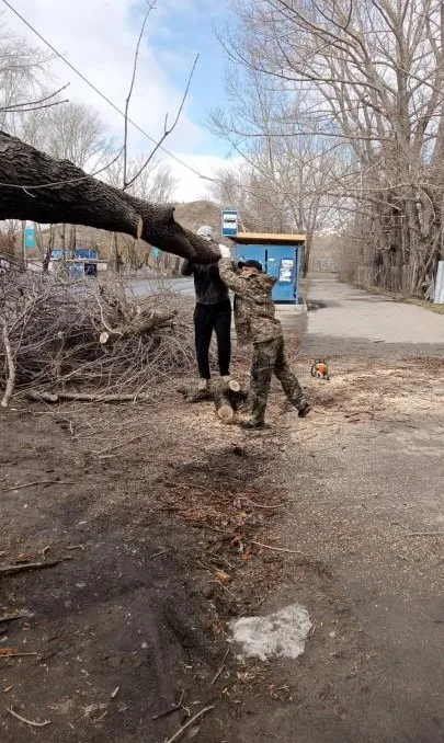 последствия, ураган, ВКО, фото, фото - Новости Zakon.kz от 07.04.2025 09:58