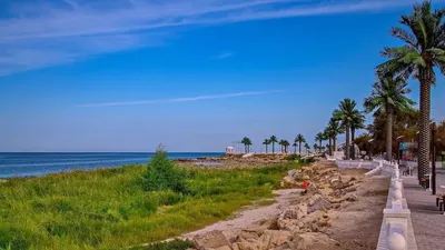 Кендерли , фото - Новости Zakon.kz от 08.04.2025 16:04