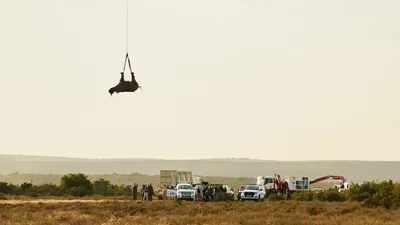 , фото - Новости Zakon.kz от 21.05.2025 10:15