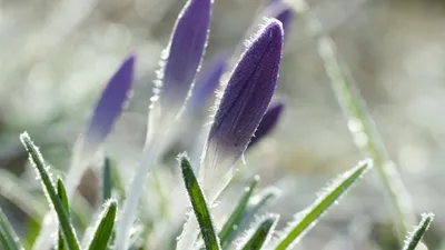 , фото - Новости Zakon.kz от 10.04.2025 18:05