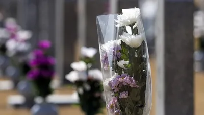 Поток автомобилей мешает на Первомайском кладбище в Алматы, фото - Новости Zakon.kz от 11.04.2025 05:15