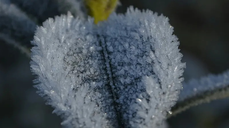 Снегопады, ливни, заморозки и жара до +28°С надвигаются на Казахстан: прогноз на выходные