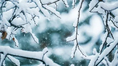 Сильные осадки, град и заморозки: прогноз погоды на 12 апреля в Казахстане, фото - Новости Zakon.kz от 11.04.2025 18:07