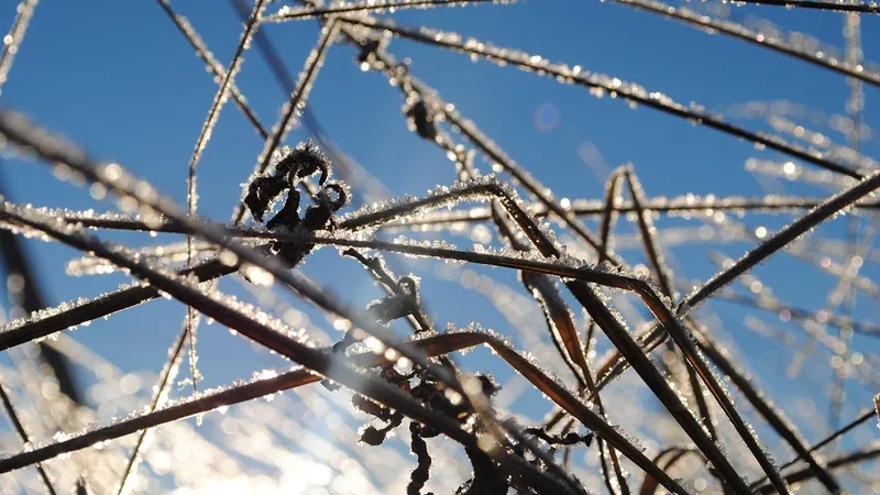 Заморозки и шквал: в Астане, Алматы и во всех областях объявили штормовое предупреждение