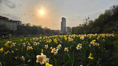 Набережная реки Есентай, Весновка, река Есентай, весна в Алматы, фото - Новости Zakon.kz от 03.04.2026 16:15