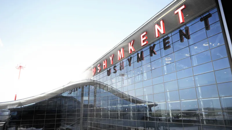 Самолет сбил собаку в аэропорту Шымкента