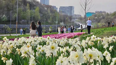 , фото - Новости Zakon.kz от 07.05.2025 16:49