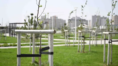 Шымкент, город Шымкент , фото - Новости Zakon.kz от 16.02.2026 14:39