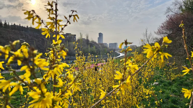 Алматы ждет тепло до +19°С