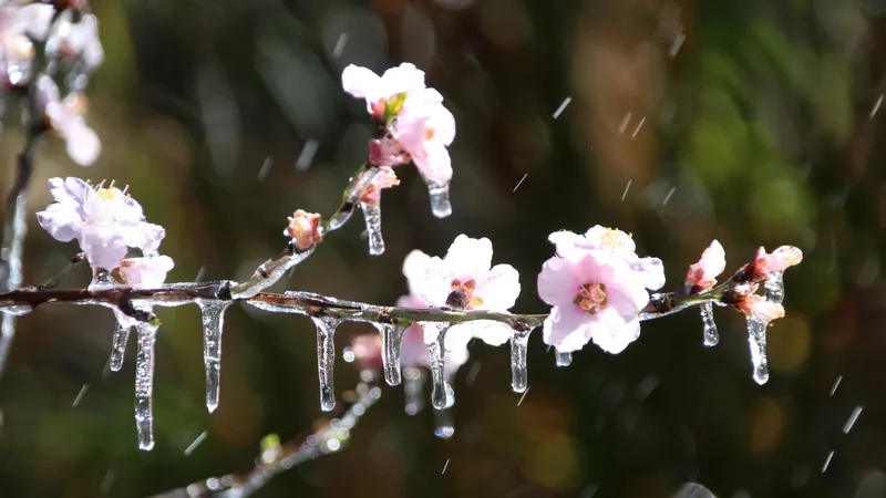 Снег, дожди с грозами, заморозки и сильный ветер вновь нагрянут в Казахстан