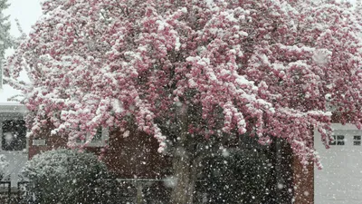 Сильные осадки и заморозки до -5°С: прогноз погоды в Казахстане на три дня, фото - Новости Zakon.kz от 14.04.2025 15:40