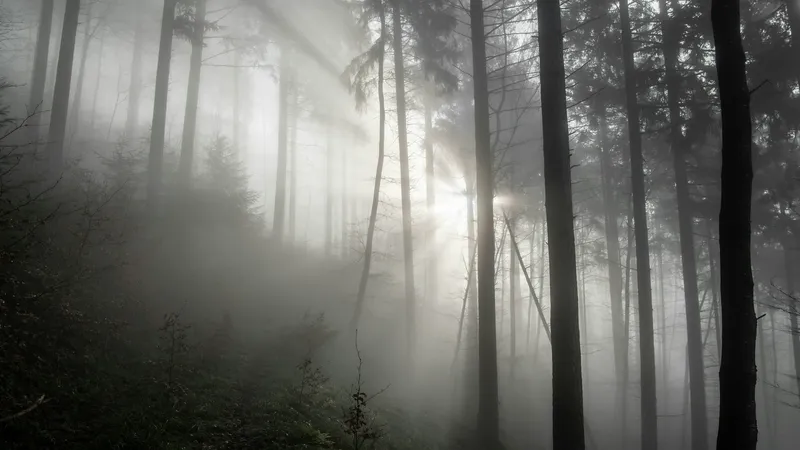 Туман, снег и дождь: прогноз погоды на 9 ноября по Казахстану