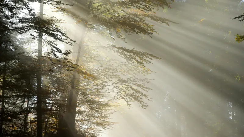 "Аптап ыстық, бұршақ, тұман". Сейсенбіде еліміздің басым бөлігінде дауылды ескерту жарияланды