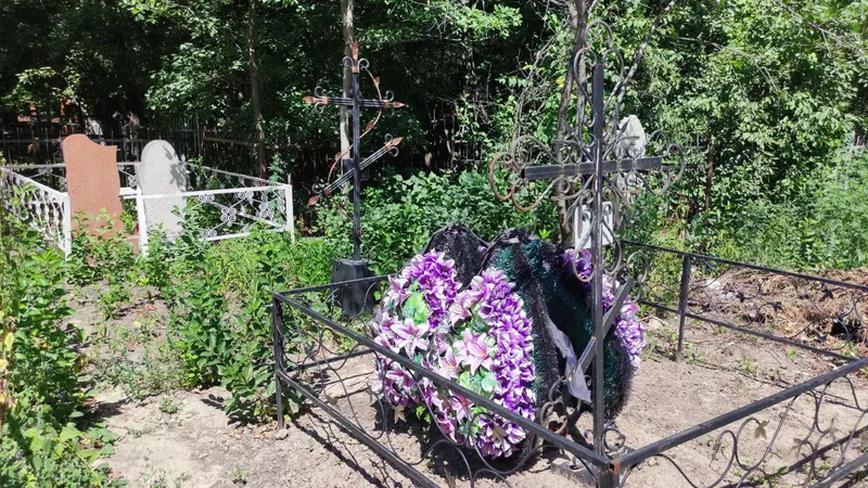 Коровы атаковали кладбище в Карагандинской области