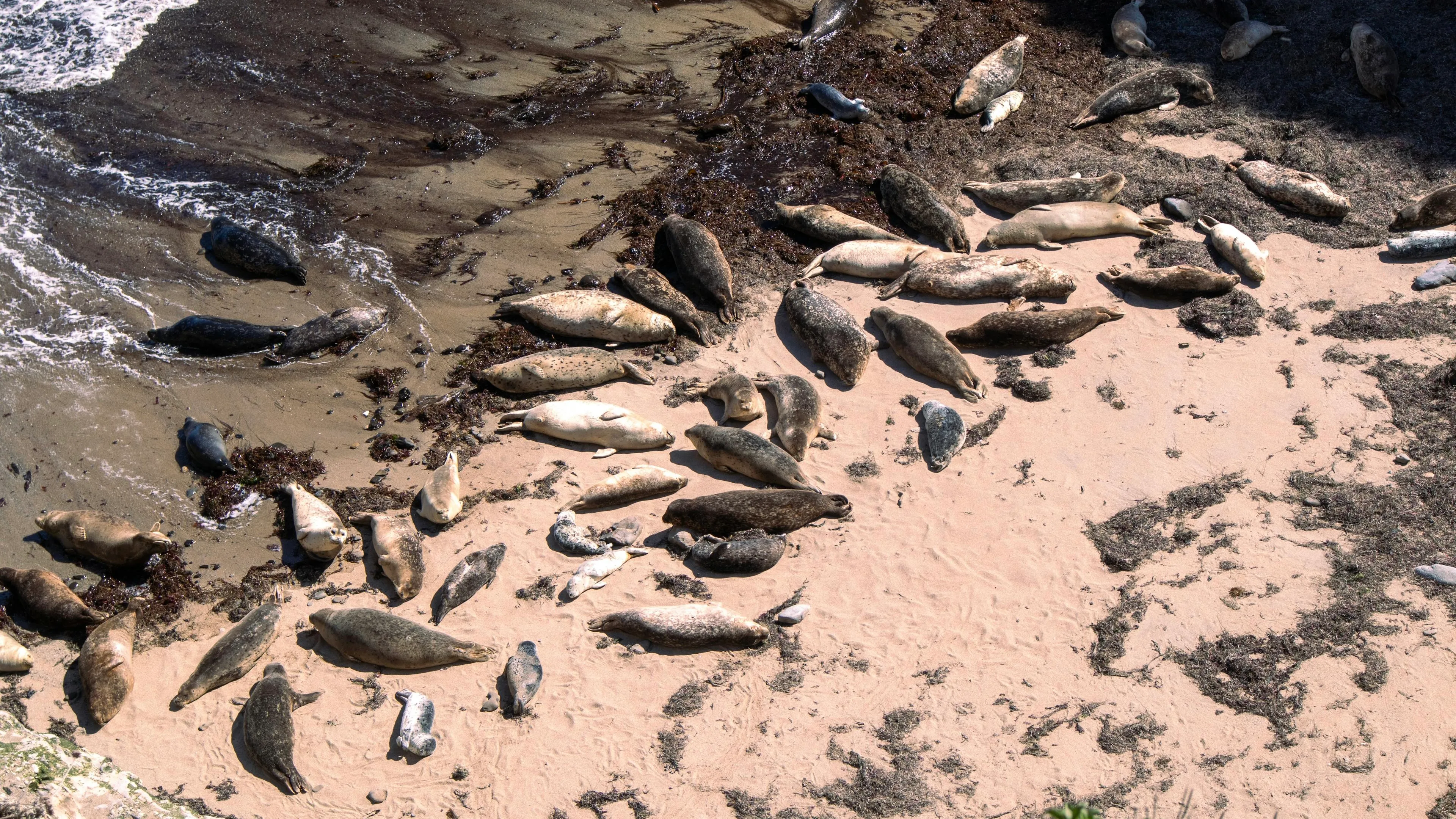 Анорексиялық студенттің порно видеосы Маскадағы BDSM әйелдер фотосы