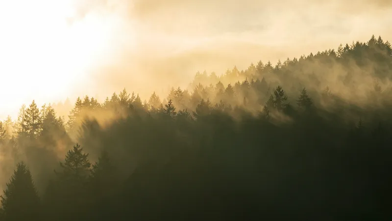 Алматы в тумане, Шымкент под дождями: что ждет Астану с 18 по 20 марта