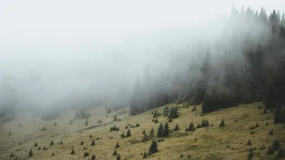 Туман, мгла, пелена, дымка, фото - Новости Zakon.kz от 27.03.2026 20:10