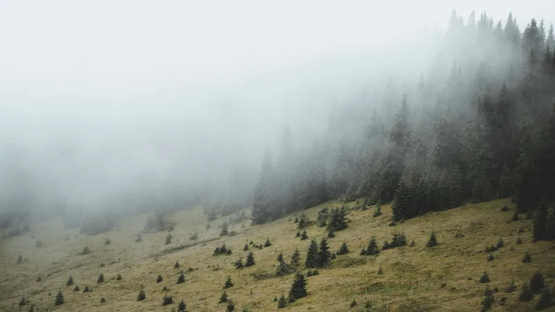 Туман, дождь и гроза: в каких регионах Казахстана объявили штормовое предупреждение на 28 марта