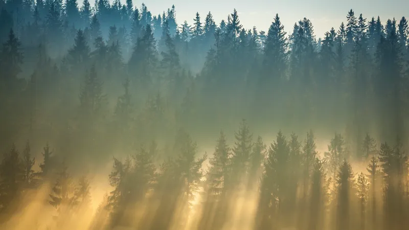 Гололед и туман: полиция предупредила водителей Казахстана