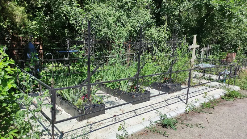Тобылда қабір басына егілген көшеттер ұрланып жатыр