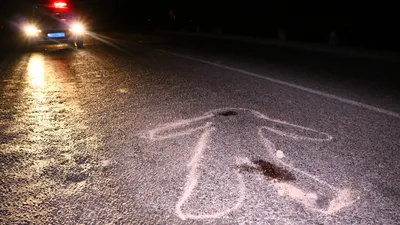 Сбитый пешеход, сбитый человек, наезд на пешехода, наезд на человека, смертельное ДТП, фото - Новости Zakon.kz от 28.10.2025 03:59