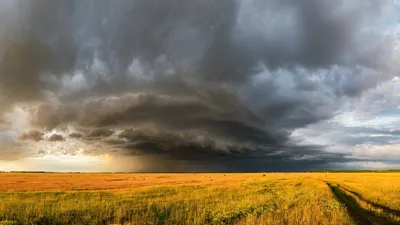 , фото - Новости Zakon.kz от 22.06.2026 17:45