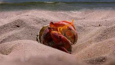 Гороскоп на сегодня, фото - Новости Zakon.kz от 16.04.2025 08:55