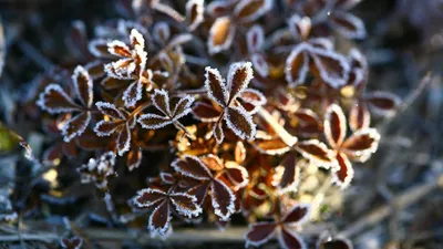 штормовое предупреждение, фото - Новости Zakon.kz от 16.04.2025 20:08