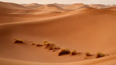 Песок, пустыня, горизонт, фото - Новости Zakon.kz от 16.04.2025 06:33