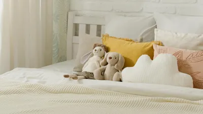 мягкие игрушки, опасность, бактерии, исследование, фото - Новости Zakon.kz от 16.04.2025 14:42