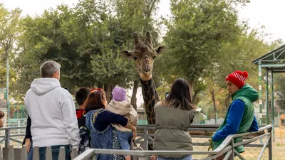 Алматинский зоопарк, фото - Новости Zakon.kz от 21.07.2025 10:22