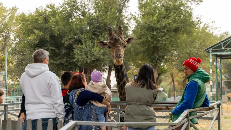 Животные могут погибнуть: зоопарк Алматы обратился к посетителям