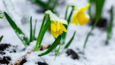 , фото - Новости Zakon.kz от 17.04.2025 16:46