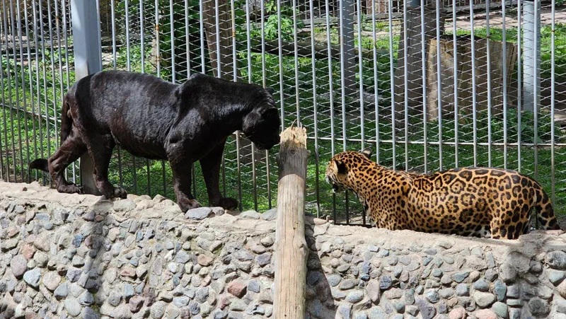 Акимат Алматы запланировал модернизацию цирка и зоопарка