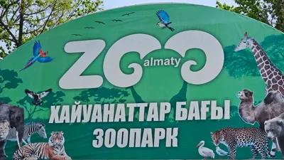 Алматинский зоопарк, фото - Новости Zakon.kz от 09.04.2026 10:36