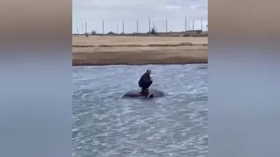 , фото - Новости Zakon.kz от 19.04.2025 23:45