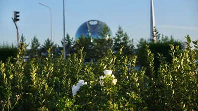 Астана, город Астана, виды Астаны, виды города Астаны, сурет - Zakon.kz жаңалық 06.03.2026 10:57