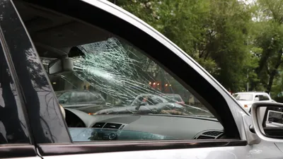 Упавшее дерево на машину, упавшее дерево на автомобиль, фото - Новости Zakon.kz от 03.11.2025 13:19