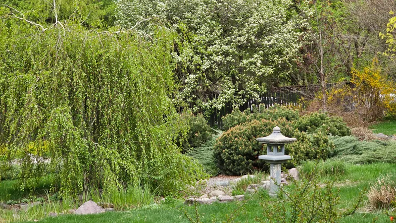 Ботсад Алматы объявил о временном закрытии