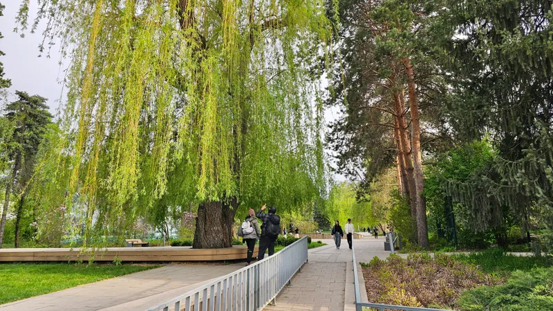 Ботанический сад в Алматы, Алматинский ботанический сад, Алматы, весна в Алматы, город Алматы, ботсад, фото - Новости Zakon.kz от 30.04.2026 09:10