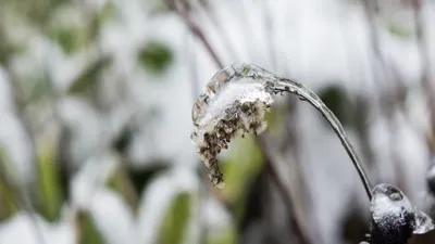 , фото - Новости Zakon.kz от 24.04.2025 16:00