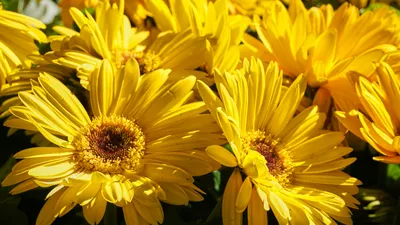 Солнечная погода возвращается в Казахстан, но снег и дожди не отступают, фото - Новости Zakon.kz от 24.04.2025 17:57