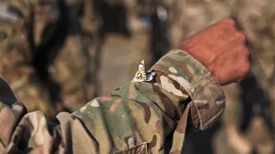 Рука, бабочка, солдат, фото - Новости Zakon.kz от 24.04.2025 18:26