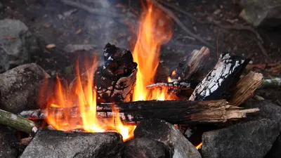 Костер, противопожарная безопасность, запреты, МЧС , фото - Новости Zakon.kz от 26.04.2025 15:50